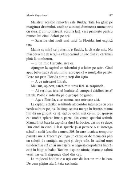 Marele Experiment