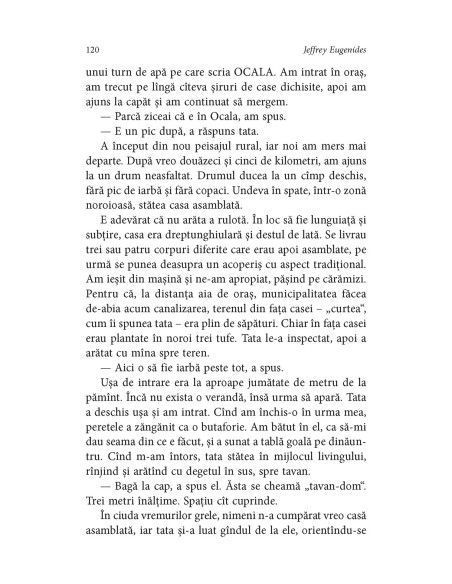Marele Experiment