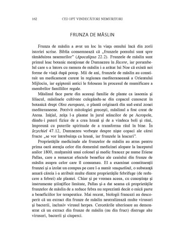 Cei opt vindecători nemuritori