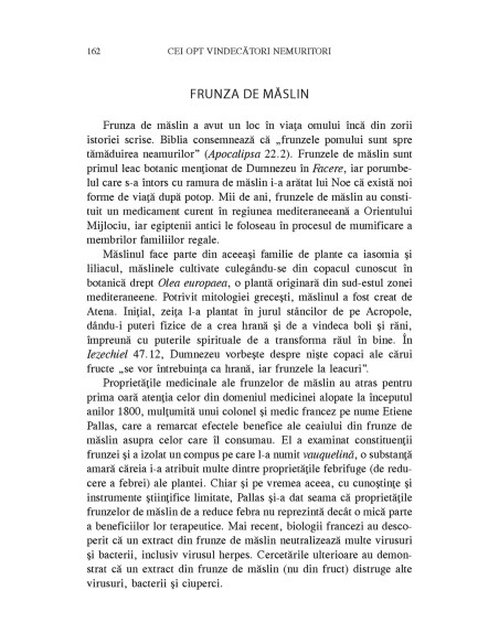 Cei opt vindecători nemuritori