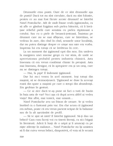 Zugzwang sau Strada cu o singură ieşire