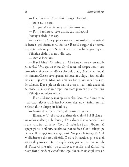 Aventurile cîinelui Păianjen