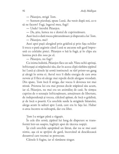 Aventurile cîinelui Păianjen