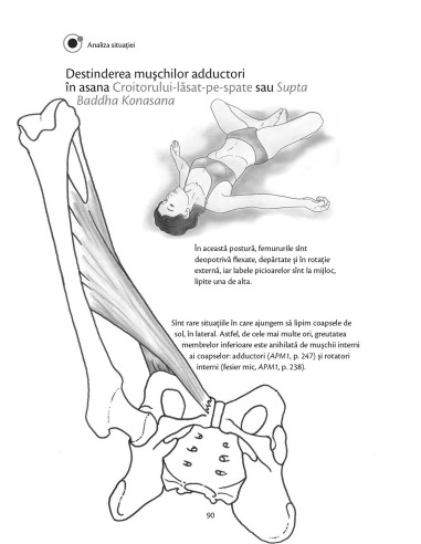 Anatomie pentru yoga Anatomie pentru yoga