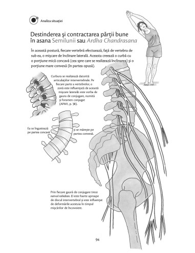 Anatomie pentru yoga Anatomie pentru yoga