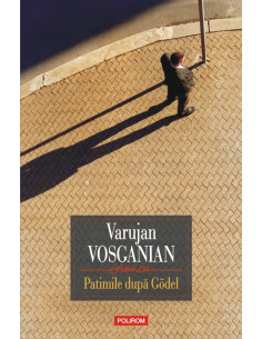 Patimile după Gödel