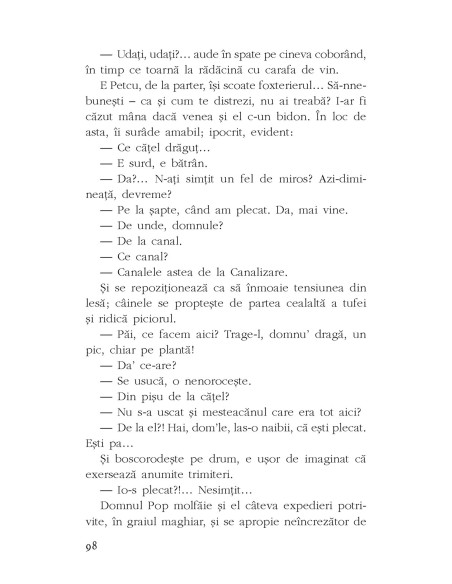 Cele mai tâmpite momente