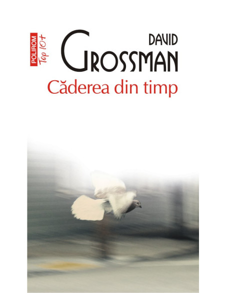 Căderea din timp. O poveste pe mai multe voci