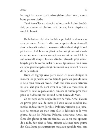 Bezna.  Povestitorii din conacul lui...