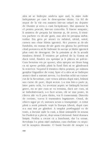 Pâlpâiri Pâlpâiri