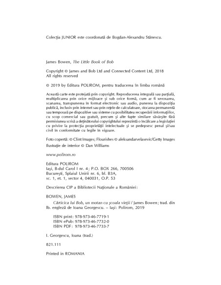 Cărticica lui Bob, un motan cu școala vieții