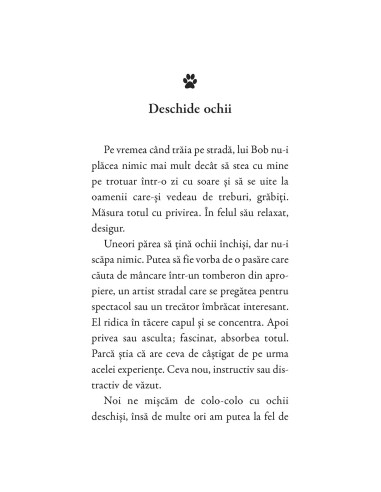 Cărticica lui Bob, un motan cu școala...