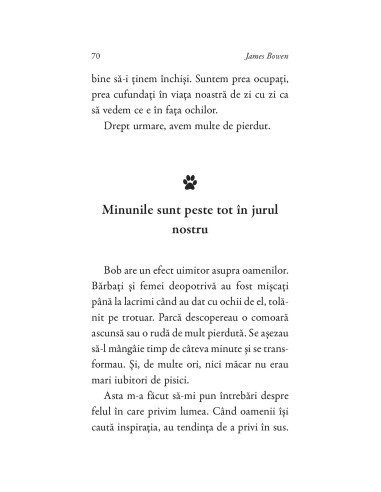 Cărticica lui Bob, un motan cu școala...