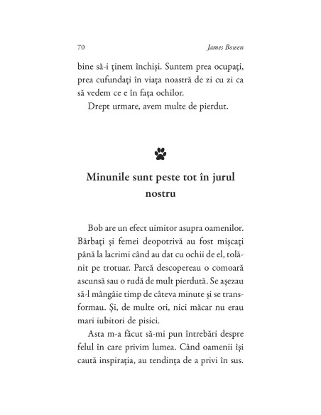 Cărticica lui Bob, un motan cu școala vieții