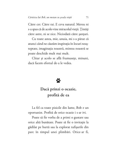 Cărticica lui Bob, un motan cu școala...