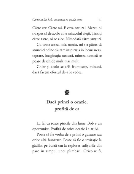 Cărticica lui Bob, un motan cu școala vieții