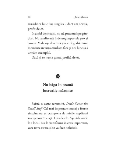 Cărticica lui Bob, un motan cu școala...