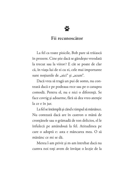 Cărticica lui Bob, un motan cu școala vieții
