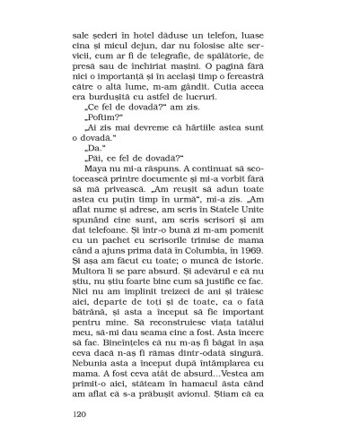 Zgomotul lucrurilor în cădere