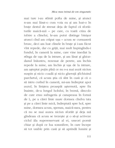 Mica mea inimă de om singuratic