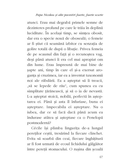 Papa Nicolau şi alte povestiri foarte, foarte scurte