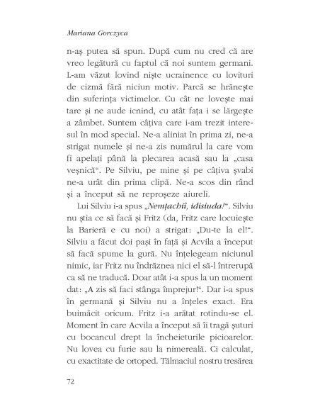 Dincoace şi dincolo de tunel. 1945