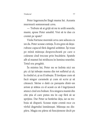 Visătorul Visătorul