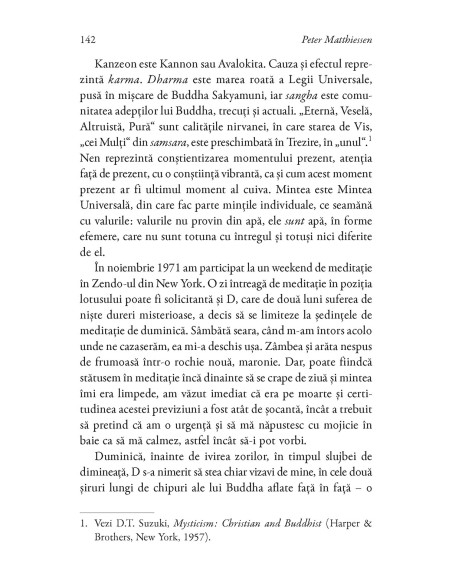 Leopardul de zăpadă