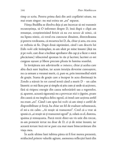 Leopardul de zăpadă