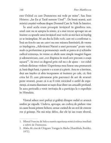 Leopardul de zăpadă