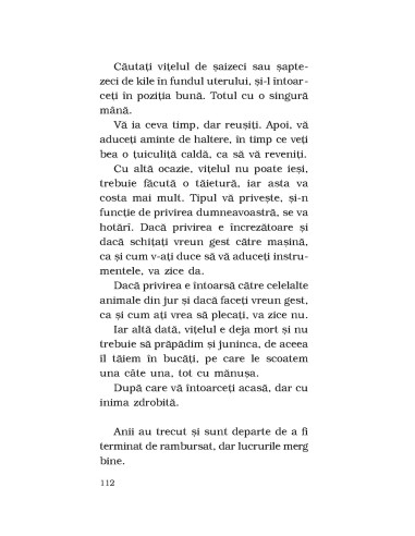 Aş vrea să mă aştepte şi pe mine cineva