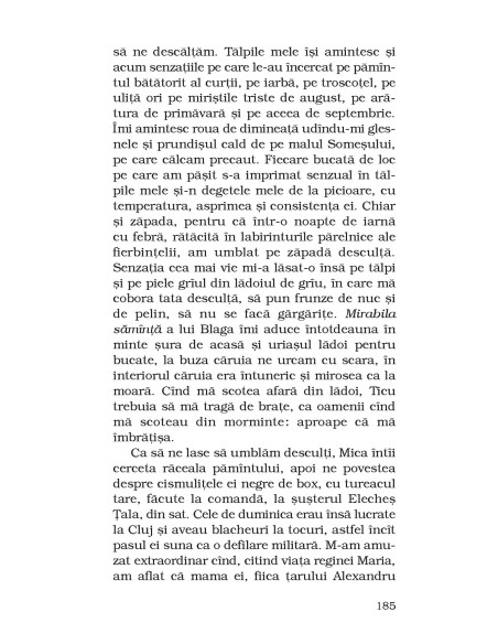 Acasă, pe Cîmpia Armaghedonului