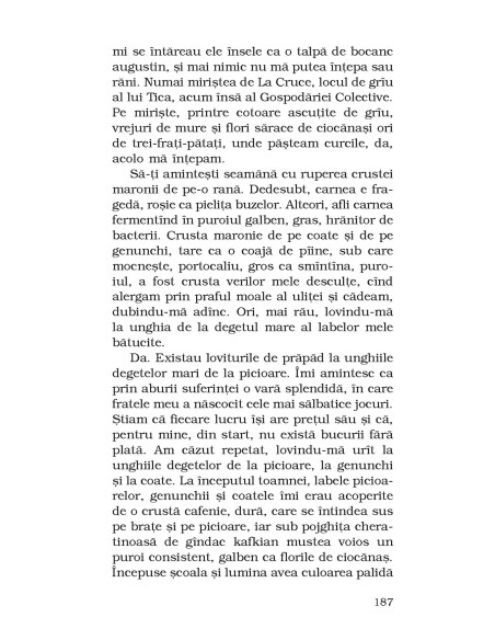 Acasă, pe Cîmpia Armaghedonului