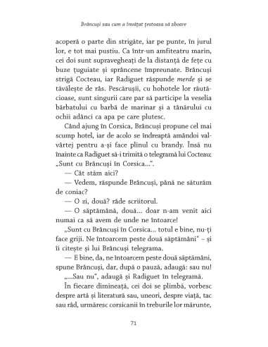 Brâncuşi sau cum a învăţat ţestoasa... Brâncuşi sau cum a învăţat ţestoasa...