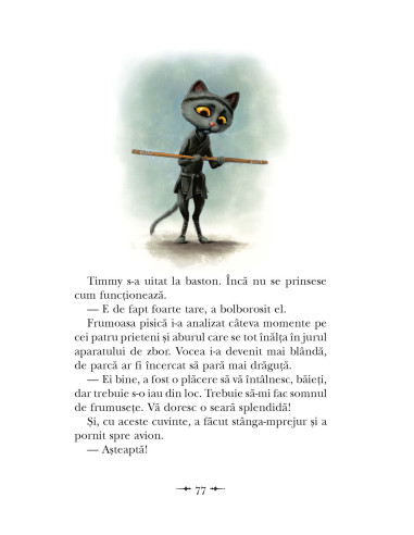 Ninja Timmy şi râsetele furate Ninja Timmy şi râsetele furate