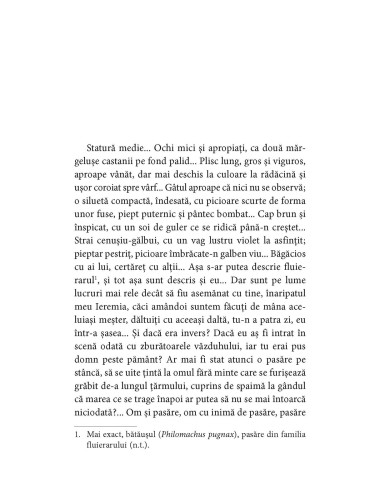 Din pântecul balenei