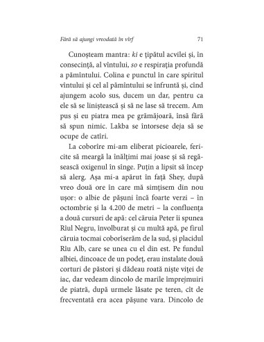 Fără să ajungi vreodată în vîrf