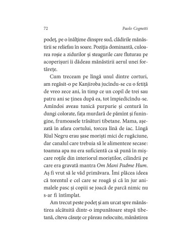 Fără să ajungi vreodată în vîrf