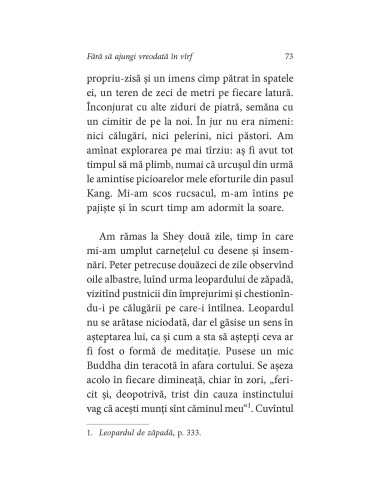 Fără să ajungi vreodată în vîrf