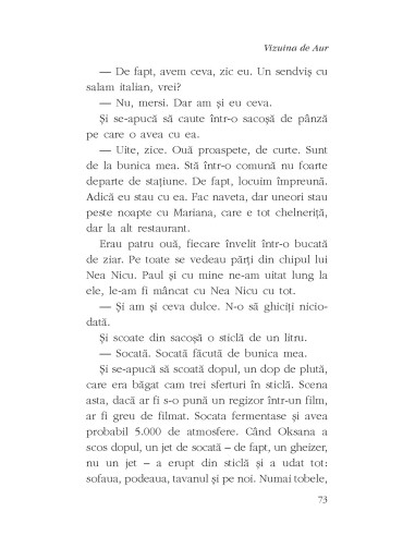 Vizuina de Aur Vizuina de Aur