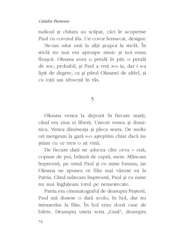 Vizuina de Aur Vizuina de Aur