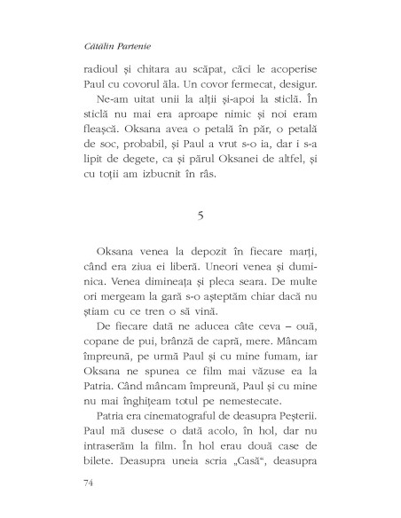 Vizuina de Aur
