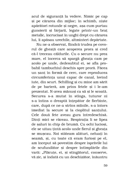 Pisica şi şoarecele