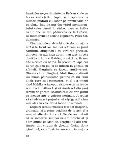 Pisica şi şoarecele