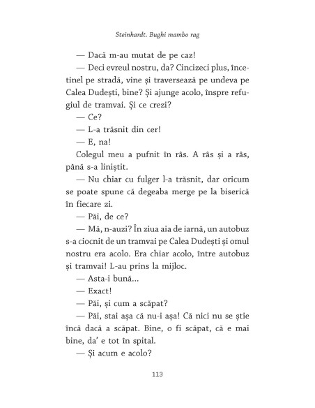 Steinhardt. Bughi mambo rag