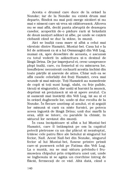 E un pod pe Drina...