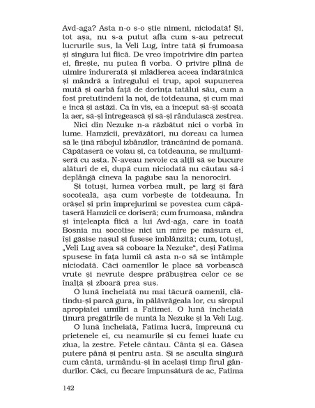 E un pod pe Drina...