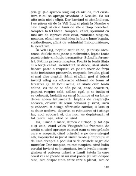 E un pod pe Drina...