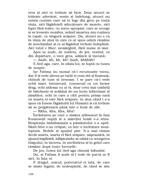 E un pod pe Drina...