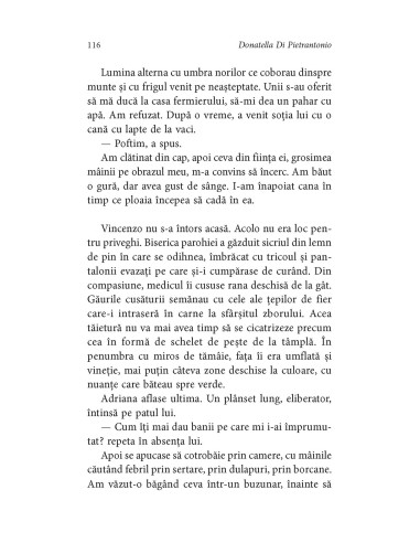 Cea care se întoarce Cea care se întoarce